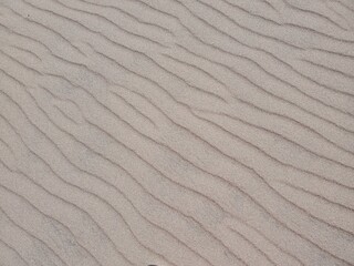 Sand Dune texture in southern Colorado