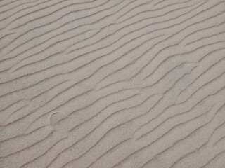 Sand Dune texture in southern Colorado