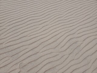 Sand Dune texture in southern Colorado