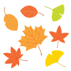 紅葉や楓やイチョウの落葉セット