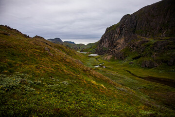 Fototapeta na wymiar Green mountains in the fiords of Narsaq, South West Greenland