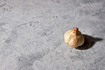 Head of garlic on a light background