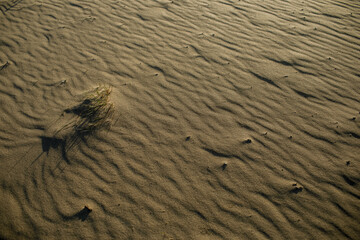 closeup of sand pattern of a beach in the summer