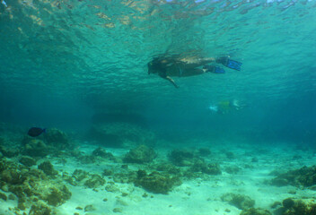 Naklejka na ściany i meble underwater coral reef caribbean sea snorkel
