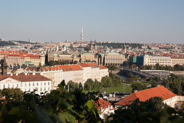 Fototapeta na wymiar Panoramic view of the roofs in Prague from red tiles on a sunny day general plan.