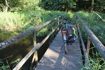 Puszcza Kozienicka, szlak rowerowy © Monika