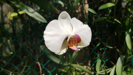 Obraz premium VACATIONS