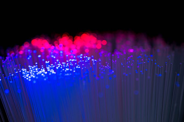 Glowing abstract multi color optical fibres close up macro shot for background.