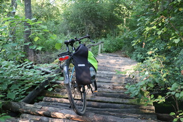 Puszcza Kozienicka, szlak rowerowy © Monika