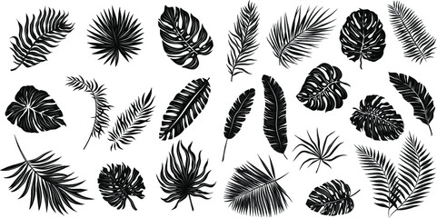 palm leaves set black and white vector illustration