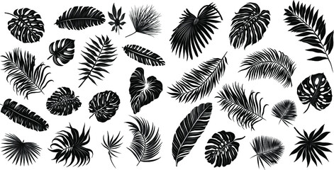 palm leaves set black and white vector illustration