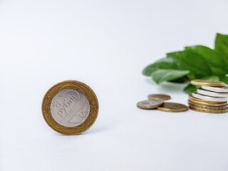Belarusian coins made of metal alloy with copper on a white background with green leaves in the...