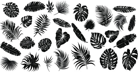 palm leaves set black and white vector illustration - obrazy, fototapety, plakaty