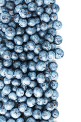 Blueberries are scattered on a white background. Free space, isolate. Studio light.