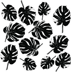 palm leaves pattern set black and white vector illustration