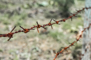 Rusty barbed wire tension, close up shot