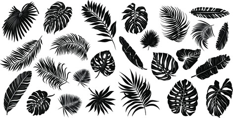 palm leaves set black and white vector illustration