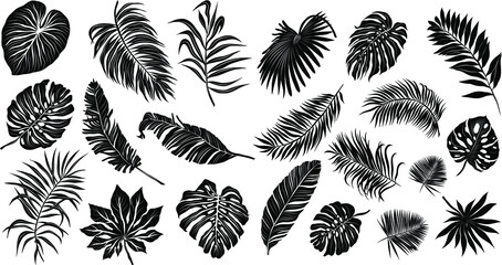 palm leaves set black and white vector illustration