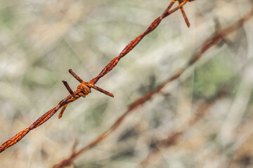 Rusty barbed wire tension, close up shot