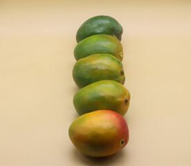 Transferring mango yellow from green. With center mango in focus and blurred mangoes with a clean background. 