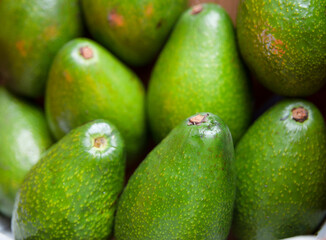 Basket of ripe avocados in the store.