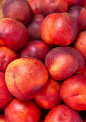Fototapeta na wymiar Peach fruit close-up. Texture background of ripe red peaches. Fruit Peaches. Food Image. Necktarines.