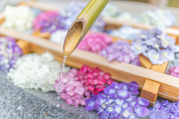 お寺巡りで手水舎の中に紫陽花が浮かぶ