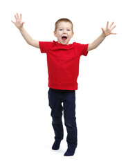 Funny little boy isolated on white