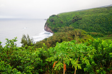 View from lookout over Pololu Valley coast line on misty or foggy day on Big Island in Hawaii with...