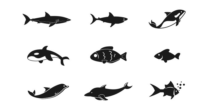 Sea fish icon set with shark, dolphin, killer whale, aquarium fish