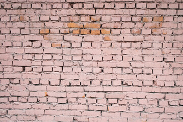 Fototapety  light red bricks wall surface texture