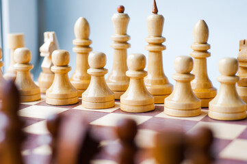 chessmen - figures depicting relations between people, social behavior / networks - group dynamics...