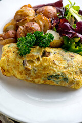 Omelette made with bacon, ham, sausage, bell peppers, heirloom tomatoes, spinach, onions, cheddar & Swiss cheese. Served with crispy potato hash, a classic American breakfast or brunch favorite.