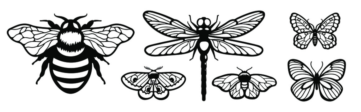 Laser cut template. Set of insects: butterfly, dragonfly and bee. Silhouettes flying insects icons. Collection of black butterflies isolated. Wood carving vector for wedding invitation, greeting card.