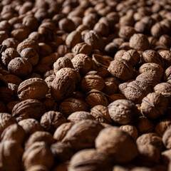 NUECES NUTS