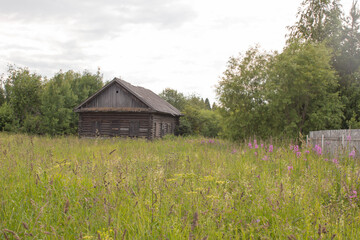 Abandoned wooden house in the meadow against the forest background, summer landscape