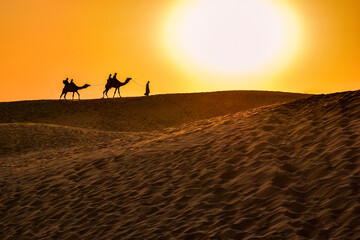 Fototapeta na wymiar Beautiful sunset with camels silhouettes in dunes at desert , Jaisalmer, India