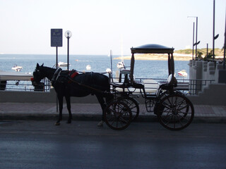 Romantic horse- drawn carriage - Malta