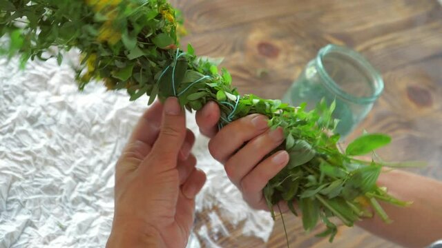 Collecting thyme for tea. Dry the herbs at home.