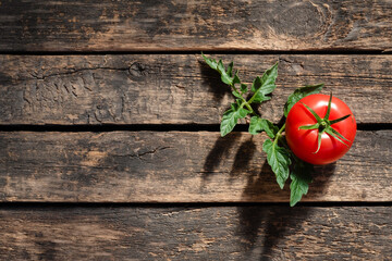 Raw tomato on garden table background with copy space.