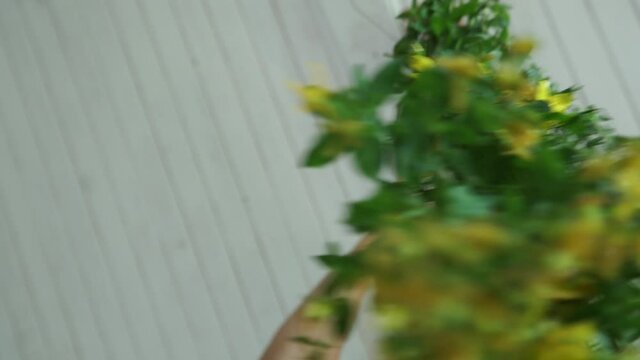 Collecting thyme for tea. Dry the herbs at home.