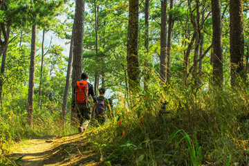 Naklejka na ściany i meble Hiking people walking on mountain trail trekking sunny