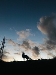 Fototapeta premium mi imagen