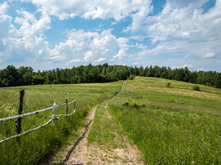 country road in the field
