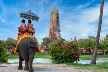 The Elephant for tourist service at Ayutthaya Archeology, Tourists riding elephant  in ancient history architecture in Ayutthaya Historical Park, Ayutthaya ,Thailand. - obrazy, fototapety, plakaty