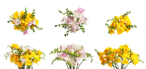 Obraz na płótnie Canvas Set of beautiful freesia flowers isolated on white. Banner design