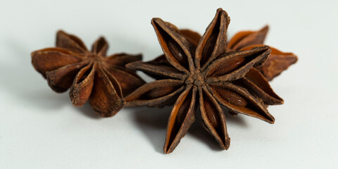 Star anise. Illicium is a genus flowering plants treated as part of the family Schisandraceae.