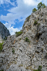 Fototapeta premium View to mountain ridge in Taurus Mountains, stony hills with rock on green mountain meadow from famous Lycian Way tourist path in Turkey
