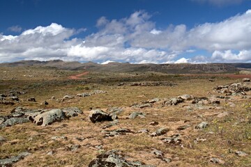 View of Sanetti plateau. National Park Bale Mountains. Ethiopia. Africa.