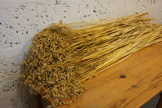 Oats Straw Example